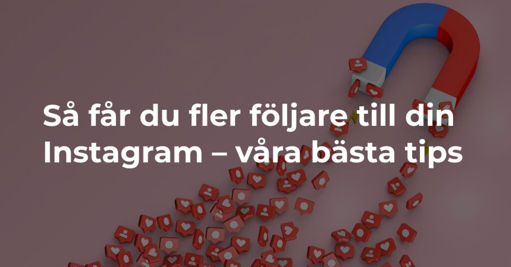 Så får du fler följare till din Instagram - våra bästa tips - Trendflow